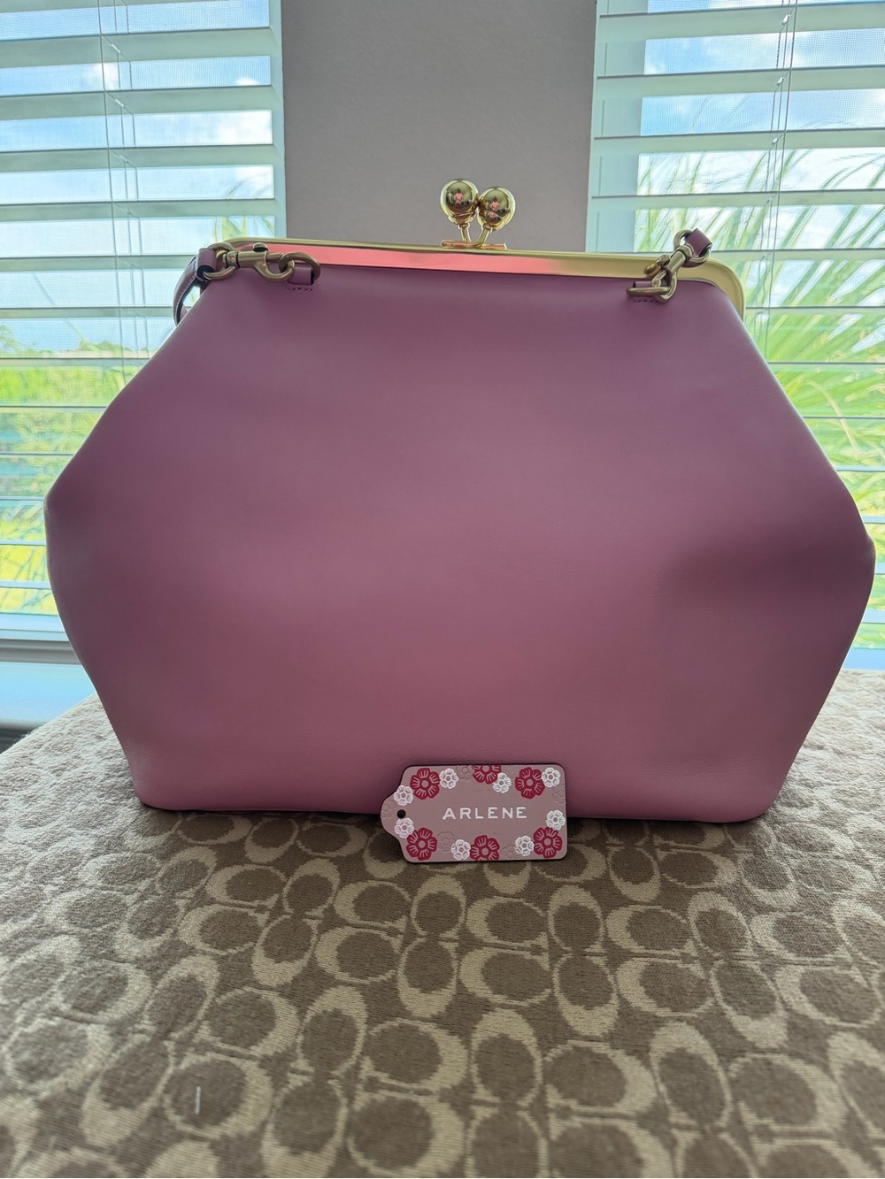 NWT Large Kisslock Frame Bag CBR51